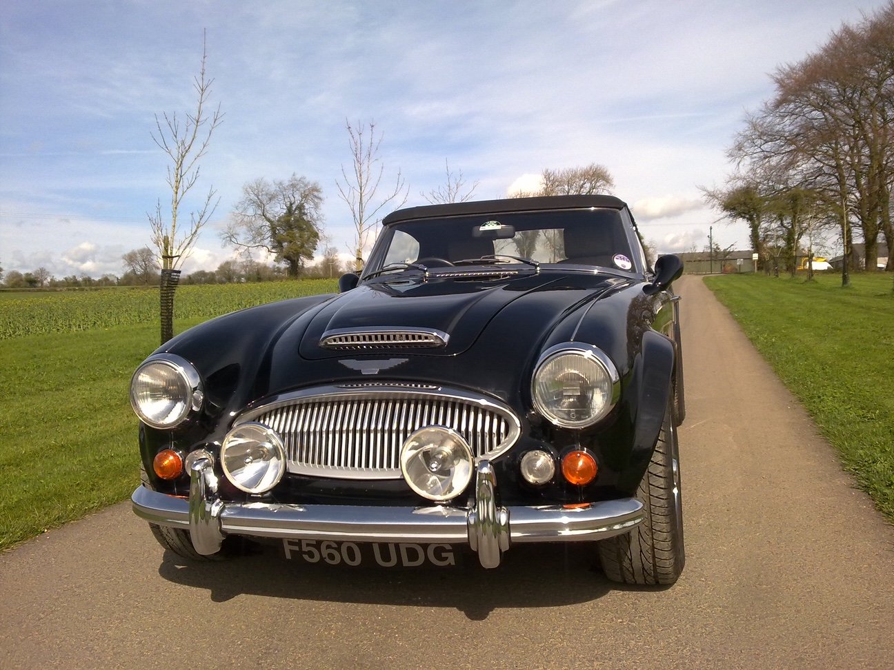 Austin Healey HMC Mk4 4.0 V8 LHD