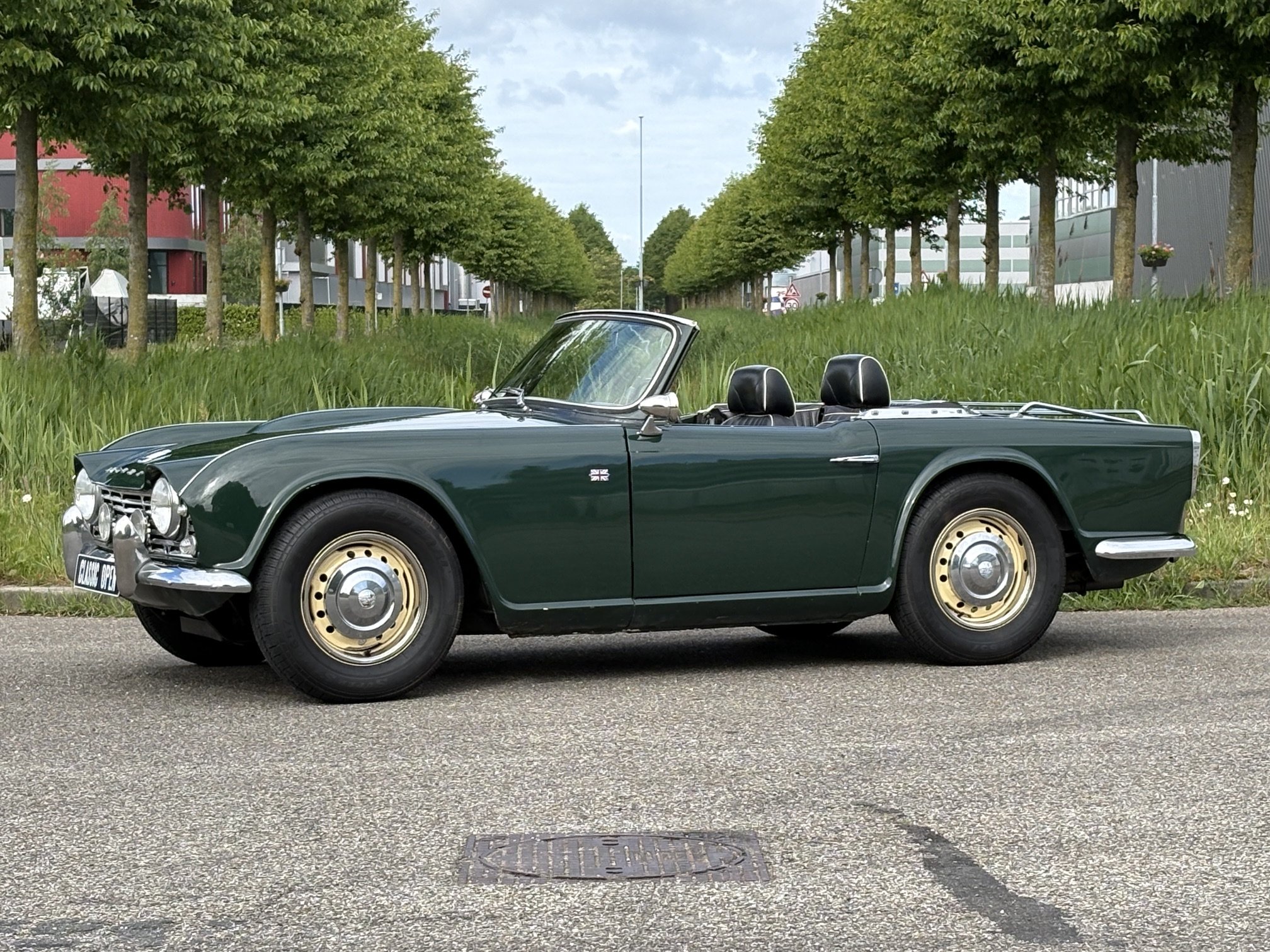 Triumph TR4